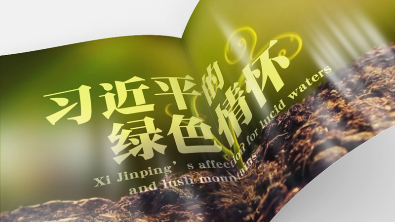 ȫ���B�� | ����ƽ�ľGɫ���